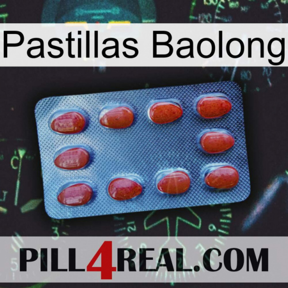 Baolong Pills 06.jpg